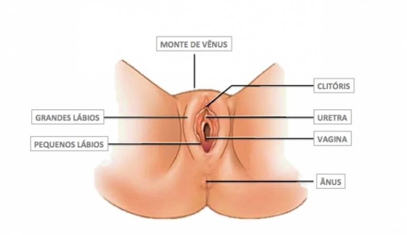 Cirurgia para Lábios Vaginais Cidade Jardim - Cirurgia nos Lábios íntimos